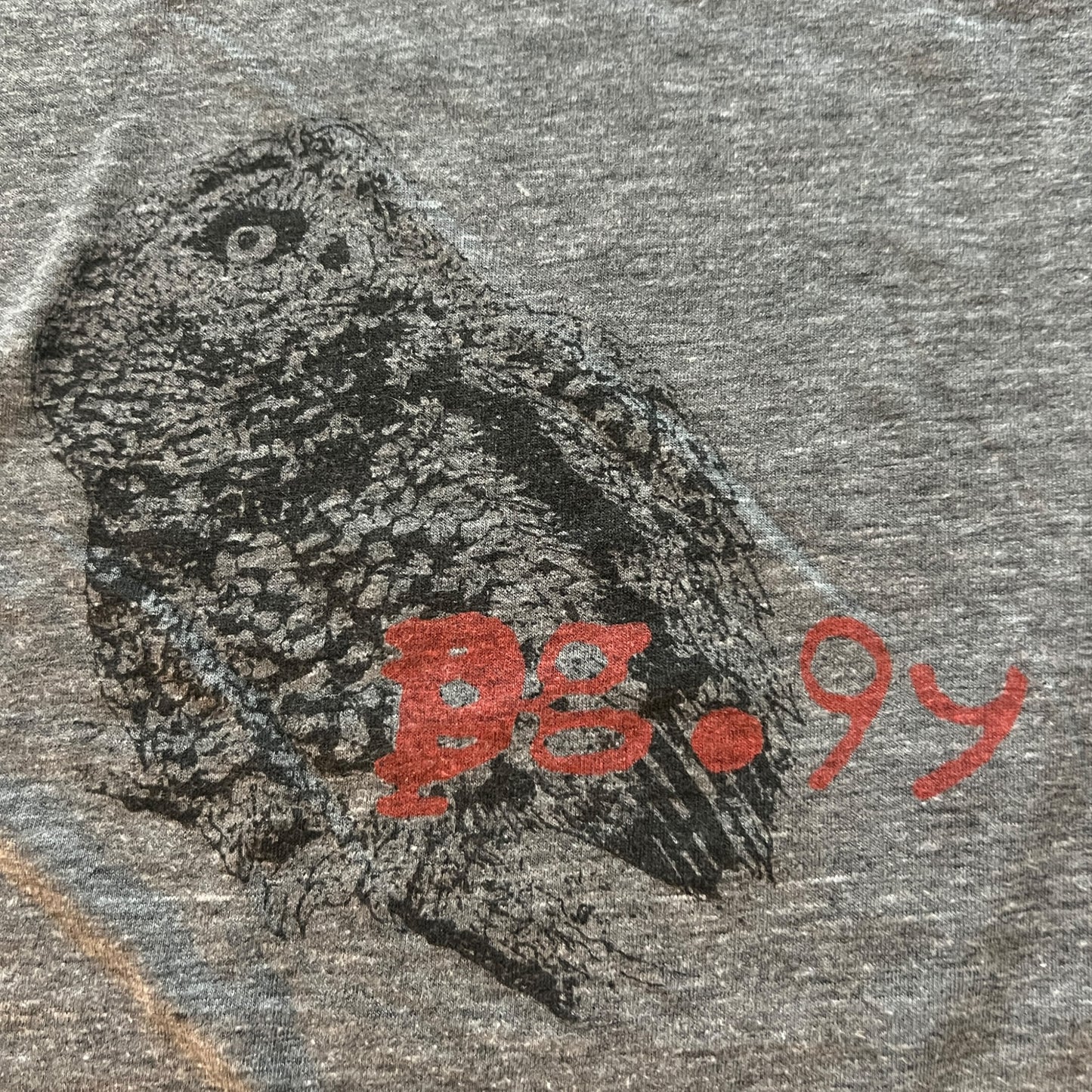 Pageninetynine Band Owl Gray T-Shirt Size XL Pg.99