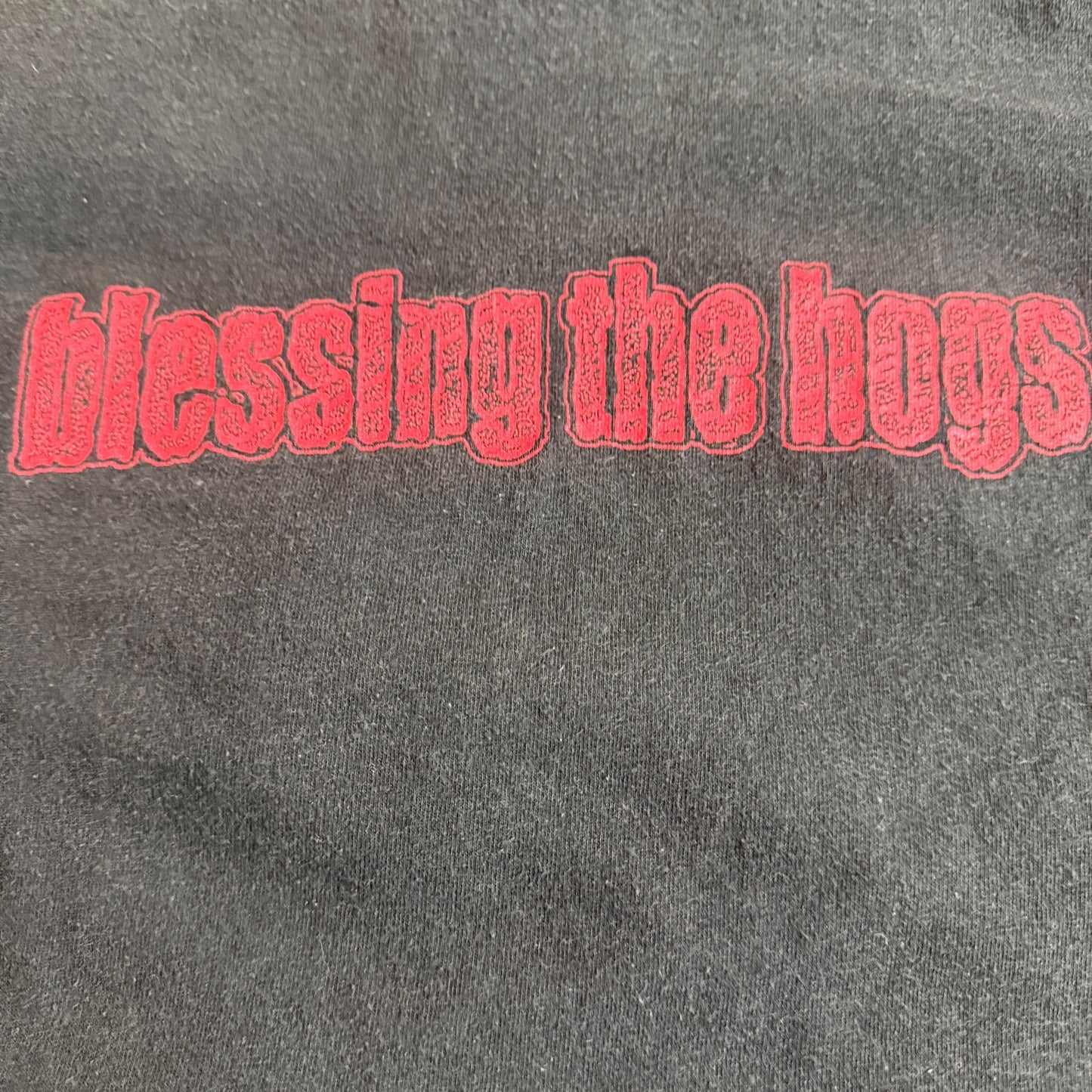 Blessing the Hogs Band Self Titled 2001 Tour Vintage T-Shirt Size XL Asva Melvins Paste