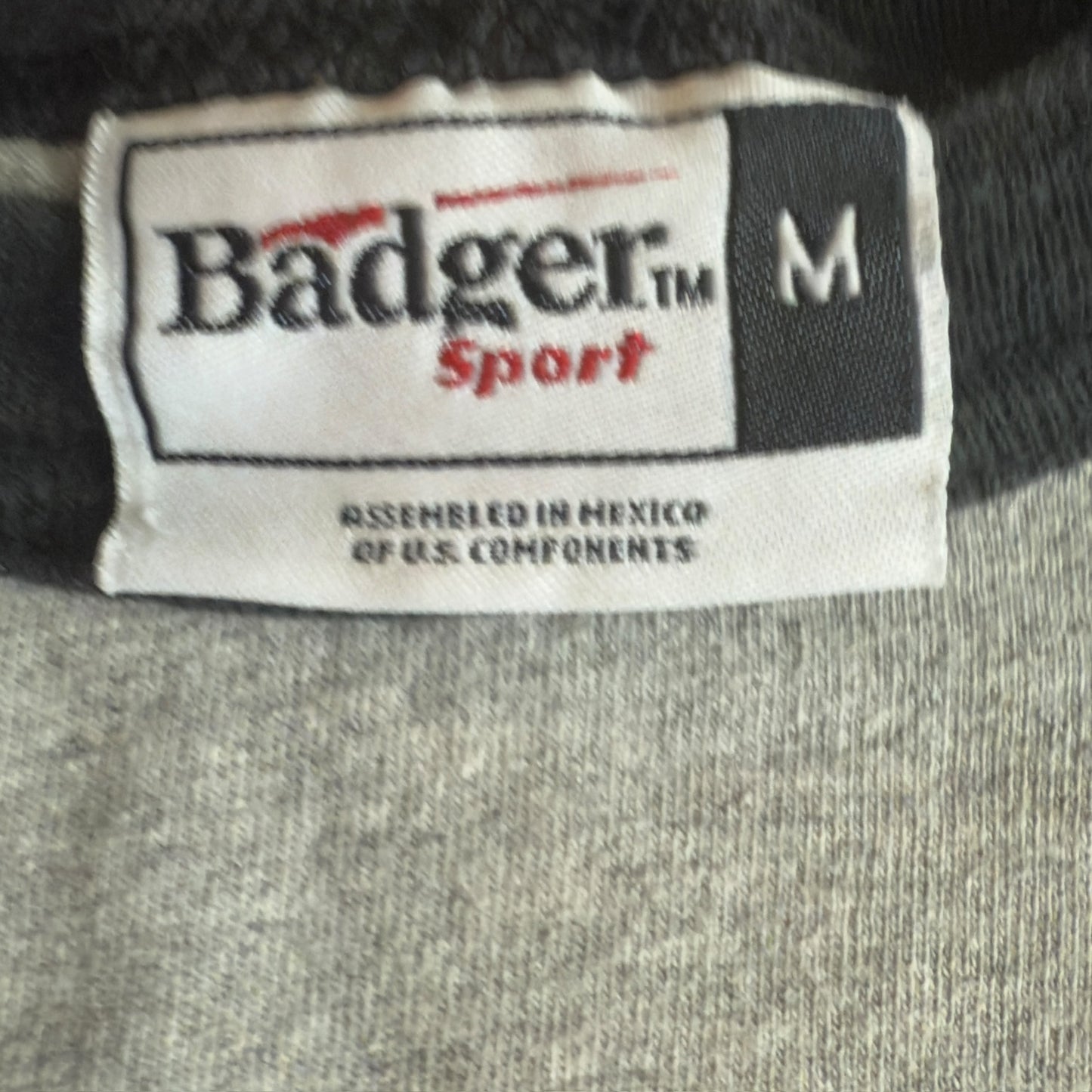 Vue Band Y2K Vintage Gray Raglan T-Shirt Size M The Audience