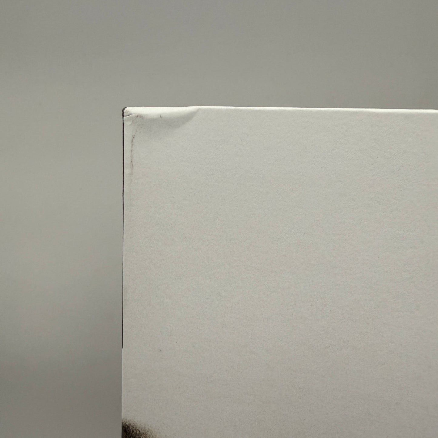 Majesty Crush - Butterflies Don't Go Away Vinyl LP Reissue Deluxe Dirty Blonde Galaxy