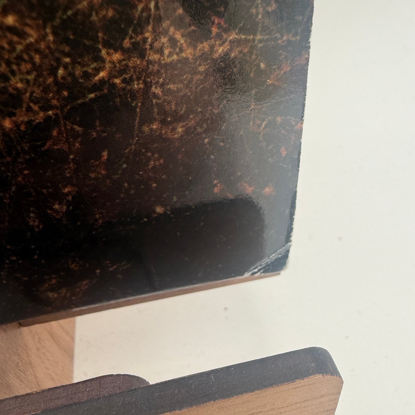 Holly Miranda - Mutual Horse Vinyl LP Test Press