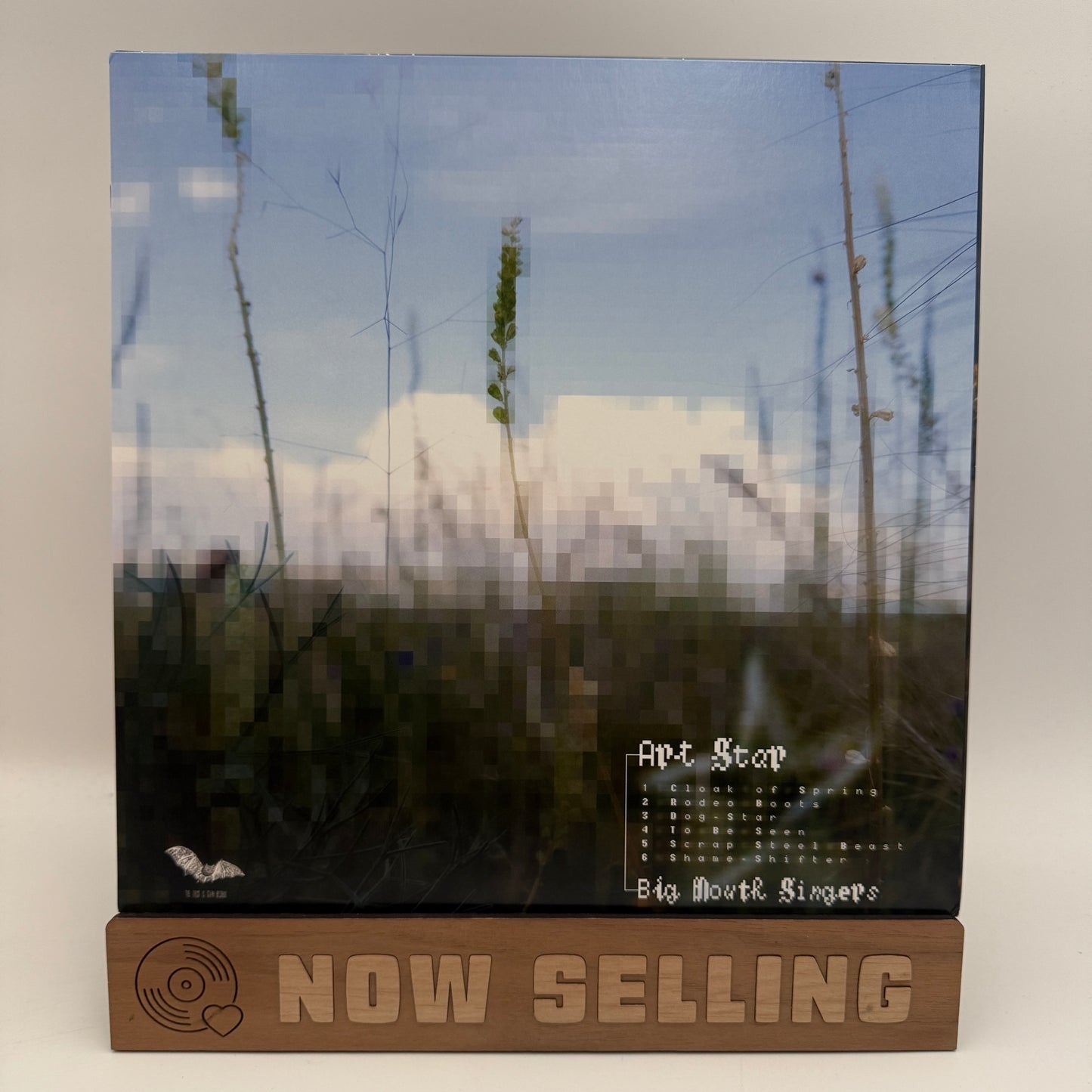 Art Star - Big Mouth Singers Vinyl LP Eco Mix