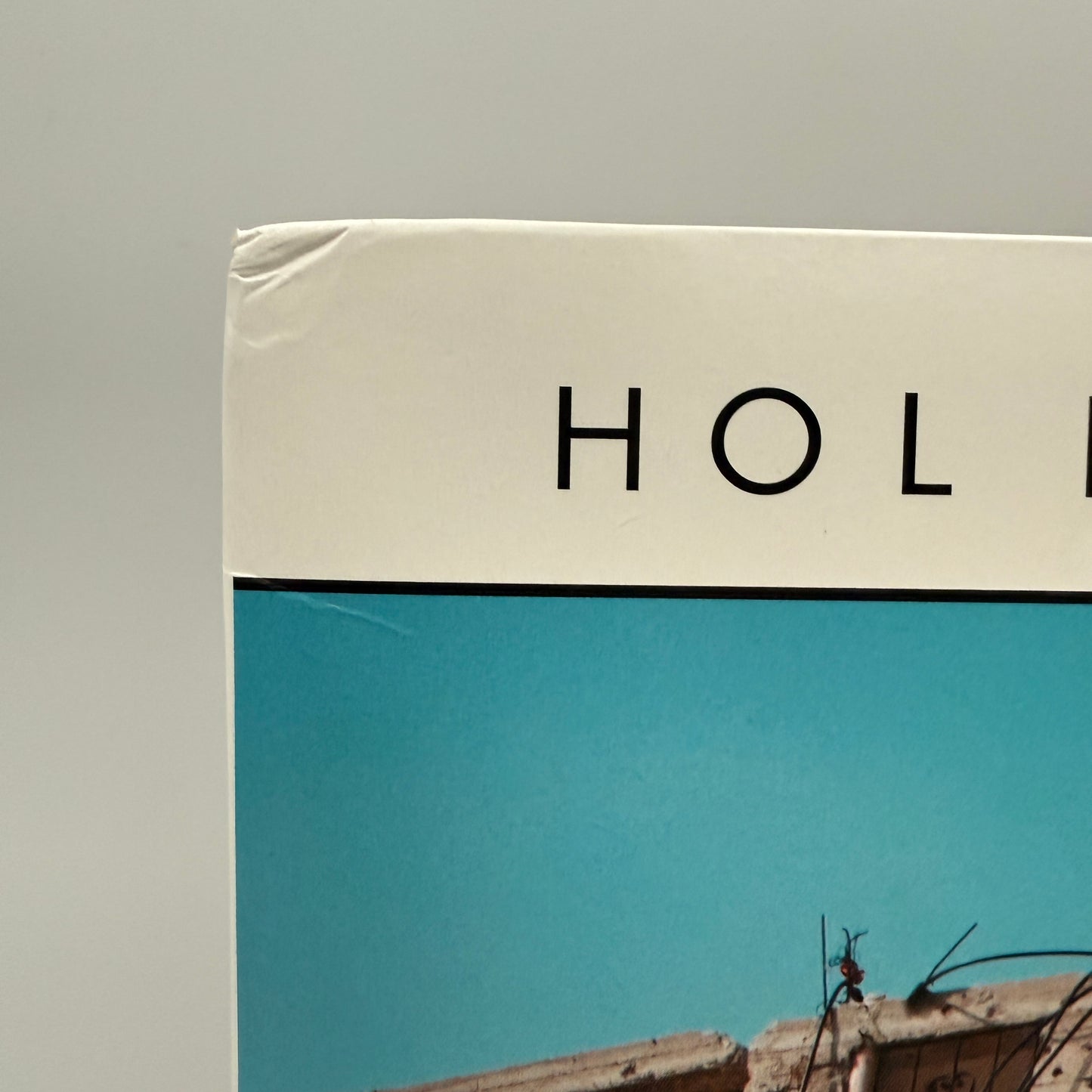 Nadine Shah - Holiday Destination Vinyl LP [SLEEVE DAMAGE]