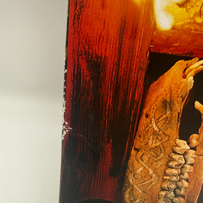 Satyricon - Nemesis Divina Vinyl LP Reissue Silver