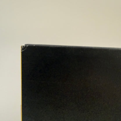 Jerry Paper - Big Pop For Chameleon World Vinyl LP