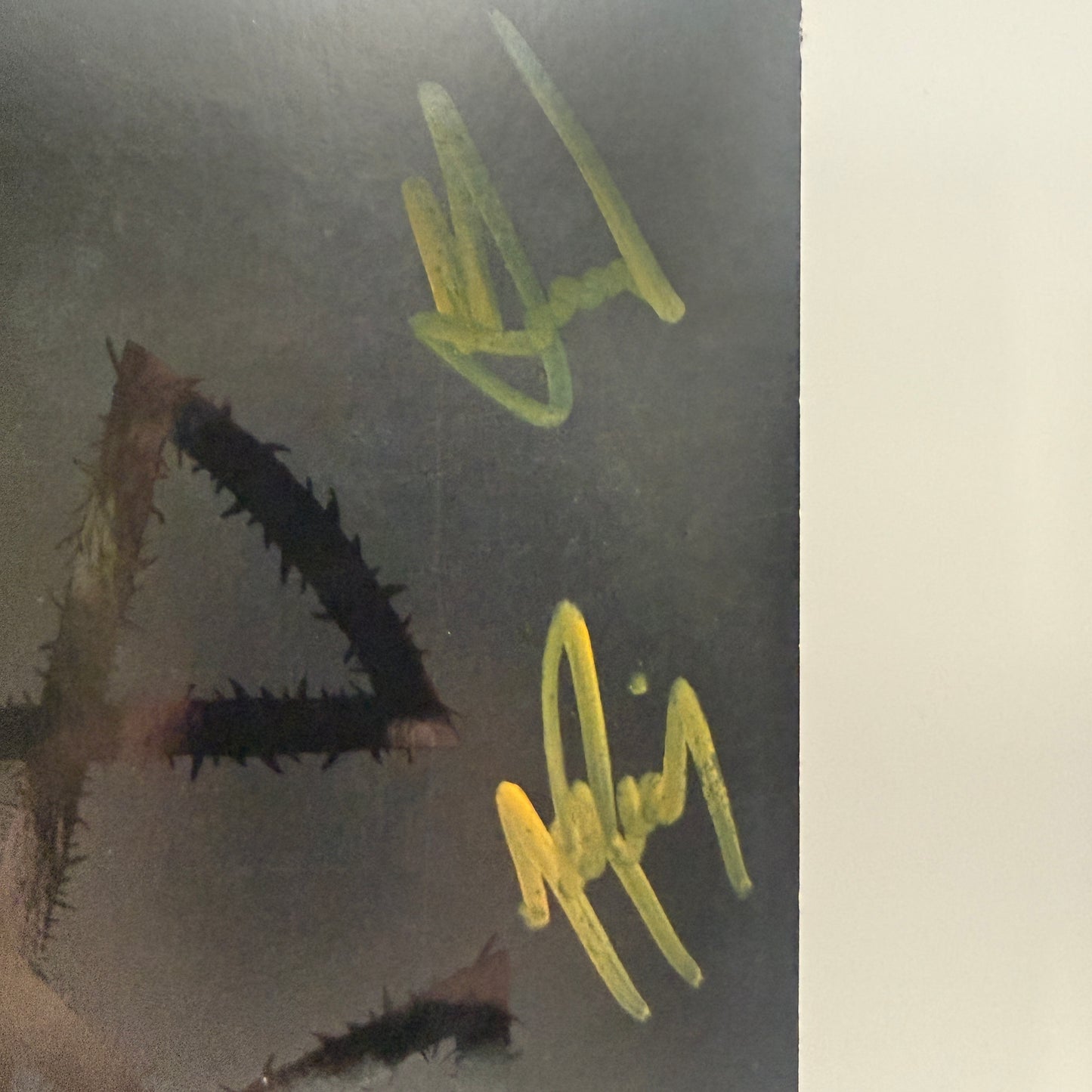 AngelMaker - Sanctum Vinyl LP Purple w/ Black White Splatter [Eclipse] SIGNED