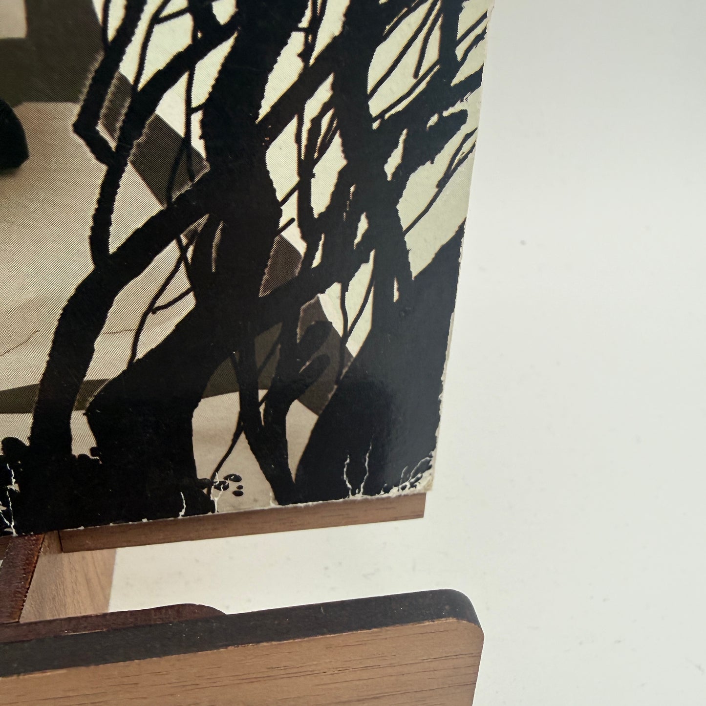 Cheeky Rascals ‎– Rock'N'Roll Survivor Vinyl LP German Rockabilly Psychobilly