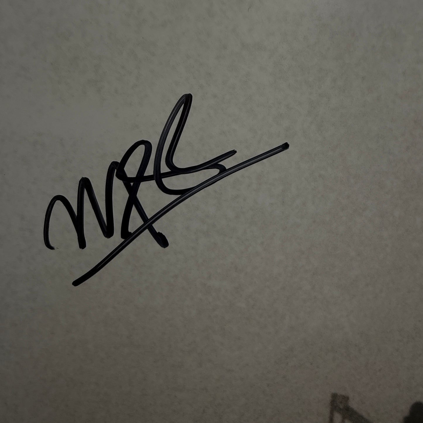 Michelle Branch - The Trouble With Fever Vinyl LP SIGNED