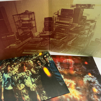 The Horrors - Skying Vinyl LP