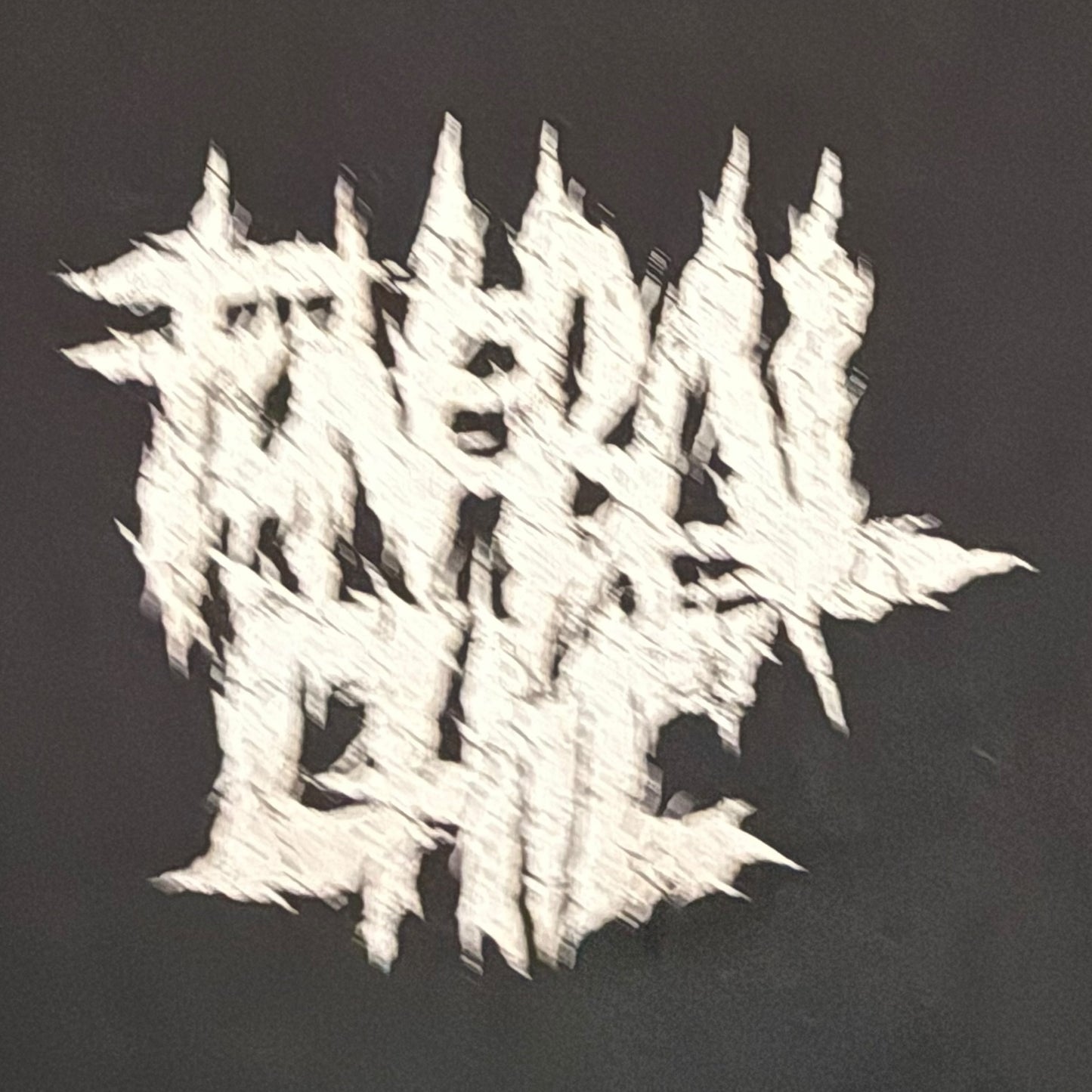 Funeral Chic Crust Punk Band Hatred Swarm T-Shirt Size L