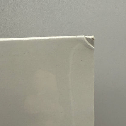 Spice Girls - Spice Vinyl LP Reissue SEALED