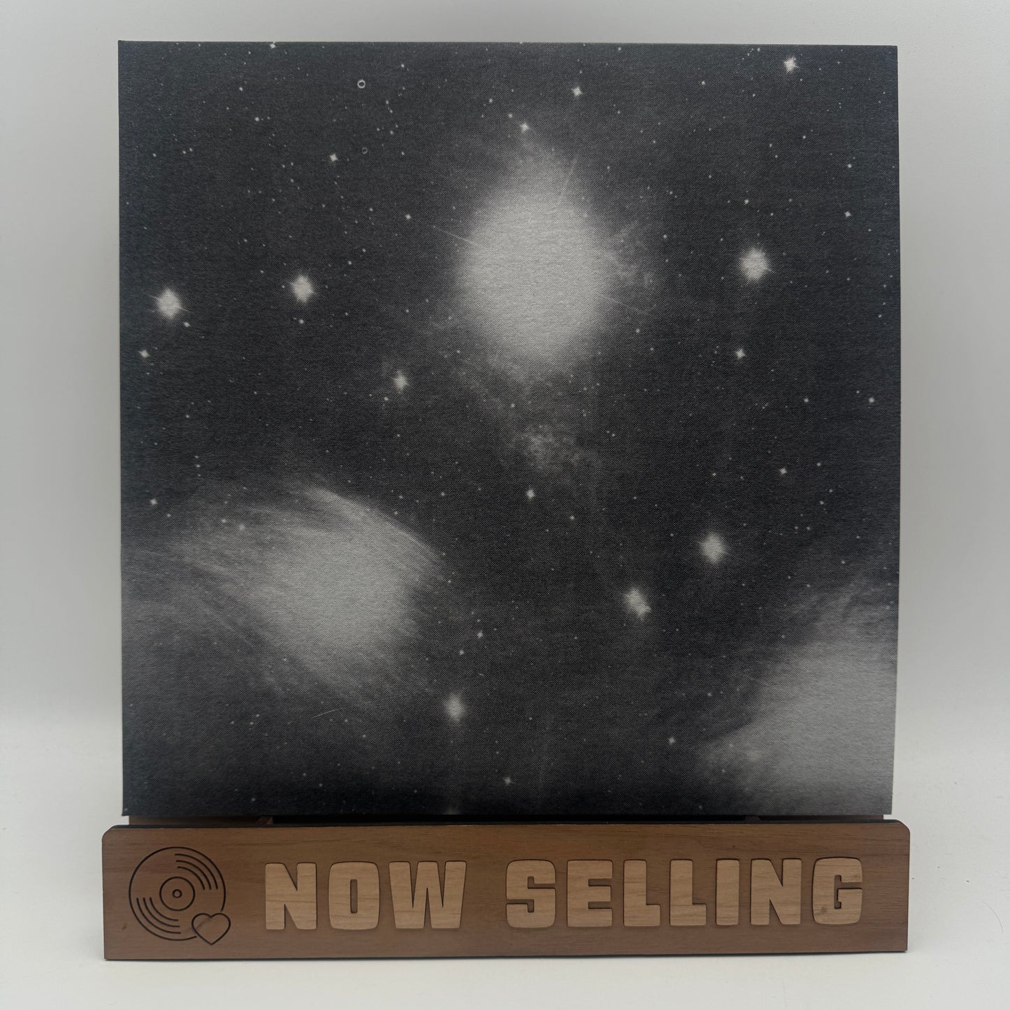 Grouper - A I A : Alien Observer Vinyl LP Reissue