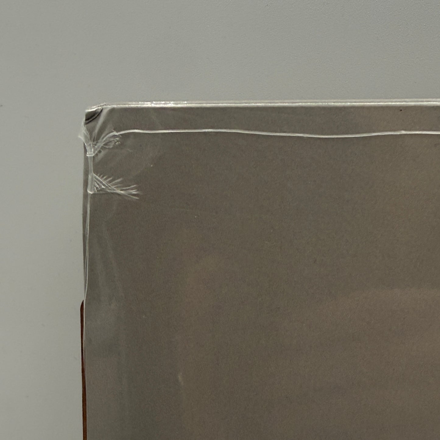 Carly Rae Jepsen - Dedicated Side B Vinyl LP SEALED w/ Signed Print