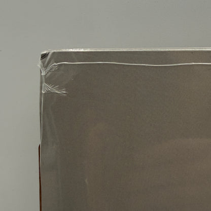 Carly Rae Jepsen - Dedicated Side B Vinyl LP SEALED w/ Signed Print