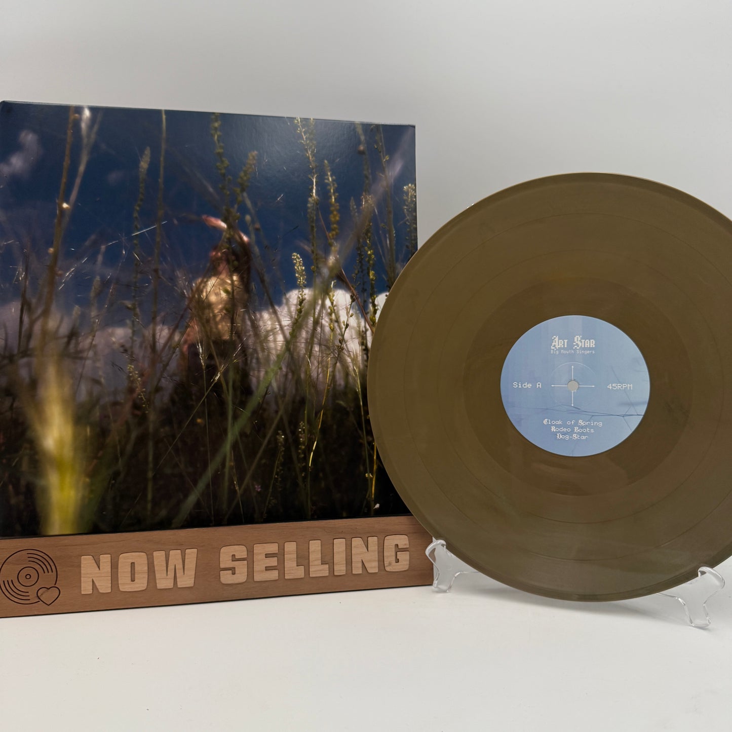 Art Star - Big Mouth Singers Vinyl LP Eco Mix