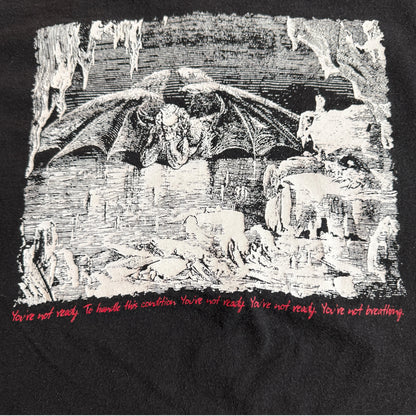 Blessing the Hogs Band Self Titled 2001 Tour Vintage T-Shirt Size XL Asva Melvins Paste