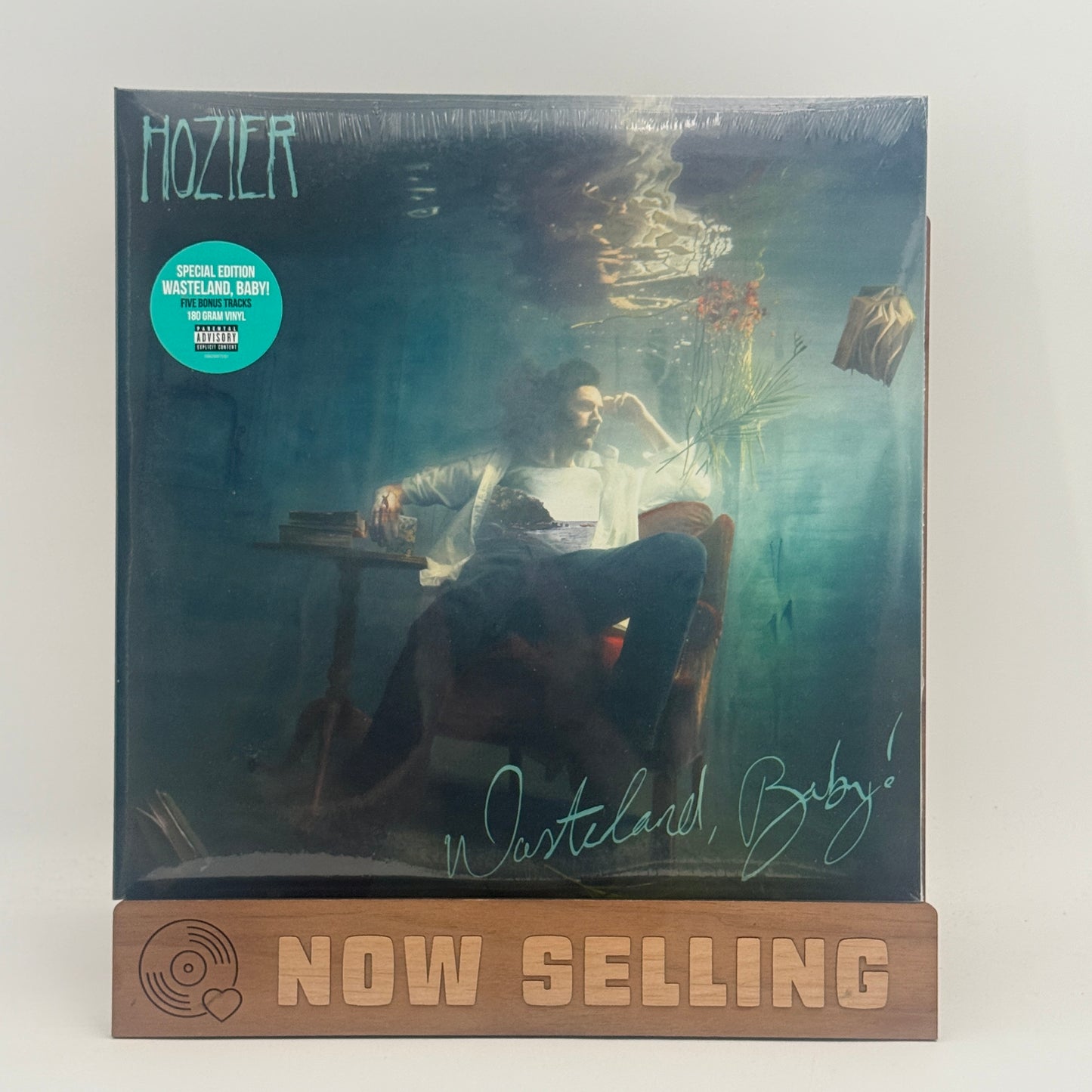 Hozier - Wasteland, Baby! Vinyl LP Reissue Special Edition SEALED 180 Gram