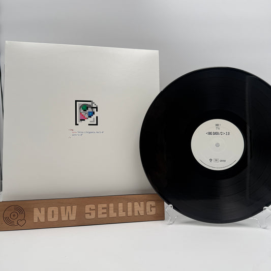 Big Data - 2.0 Vinyl LP Kimbra Joywave Rivers Cuomo Dragonette