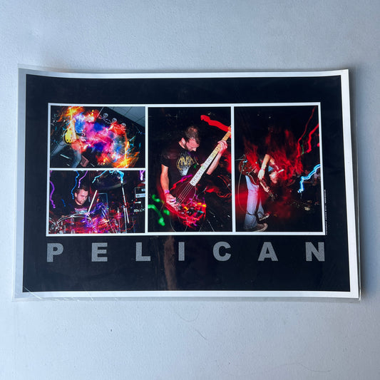 Pelican Band Collage Photography Print 19" x 13" Poster