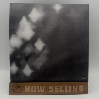 Grouper - A I A : Alien Observer Vinyl LP Reissue