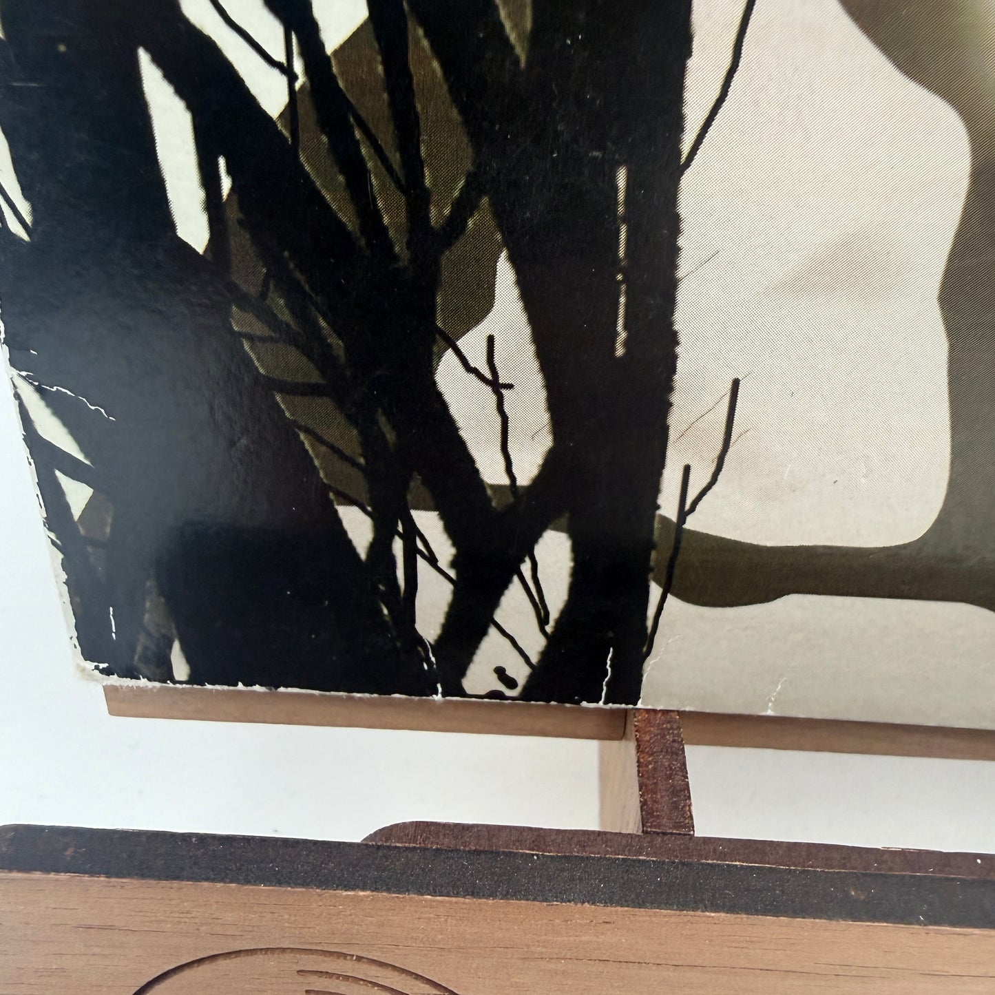 Cheeky Rascals ‎– Rock'N'Roll Survivor Vinyl LP German Rockabilly Psychobilly