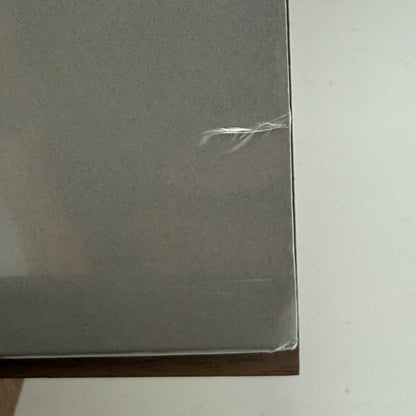 Carly Rae Jepsen - Dedicated Side B Vinyl LP SEALED w/ Signed Print