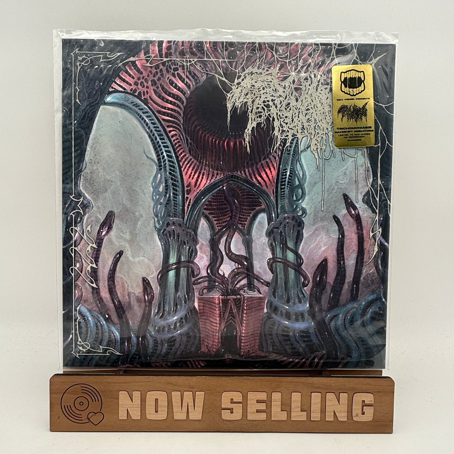 Trichomoniasis - Makeshift Crematoria Vinyl LP Labelburst Groaning Siphon Sig Wax Vessel