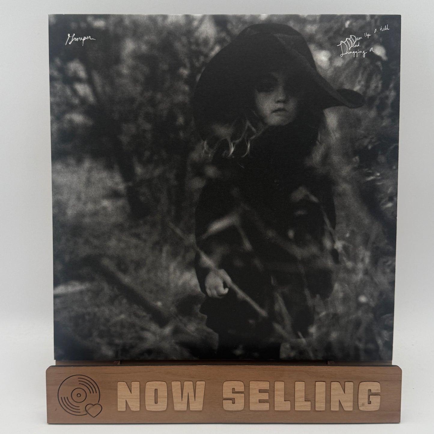 Grouper - Dragging A Dead Deer Up A Hill Vinyl LP Reissue