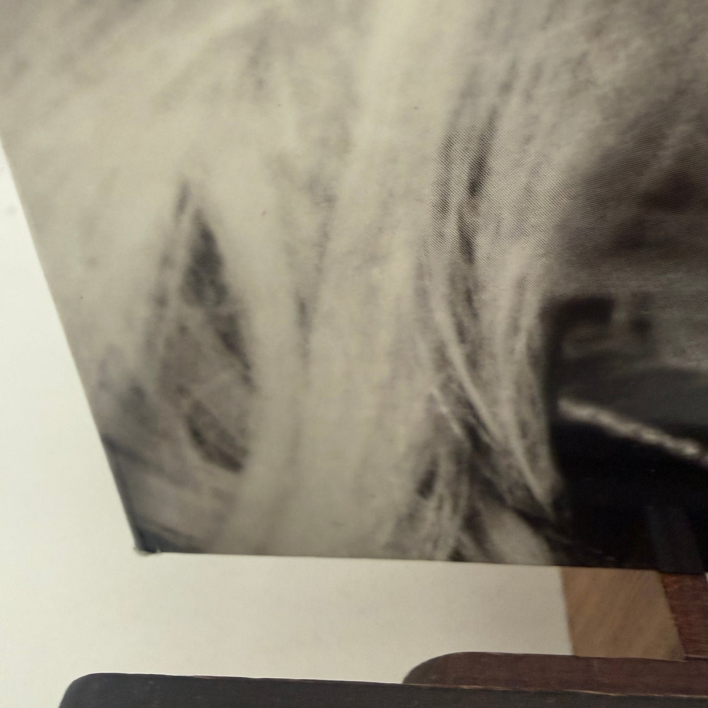 Lady Gaga - Born This Way Vinyl LP Reissue