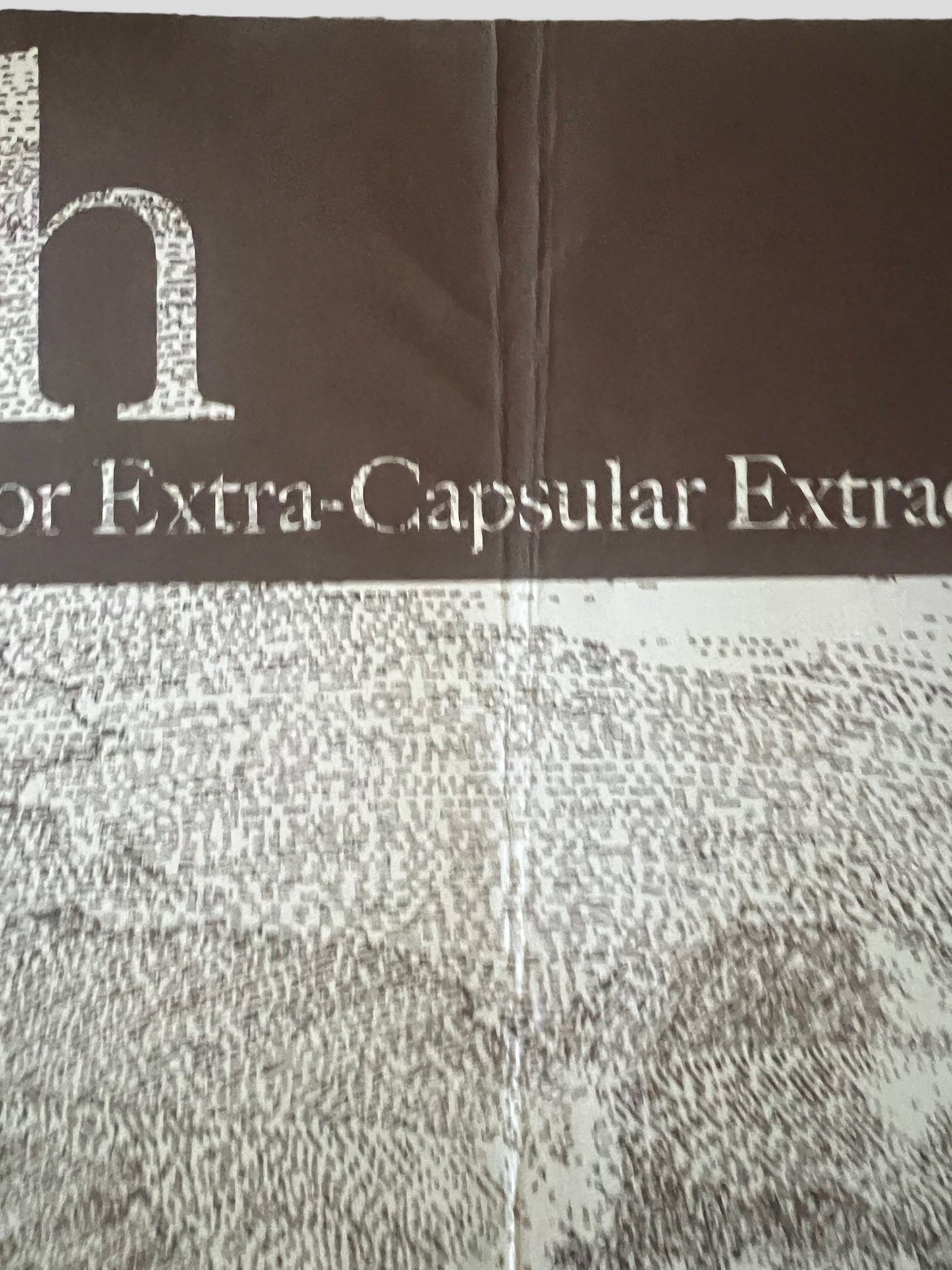 Earth - A Bureaucratic Desire for Extra-Capsular Extraction 2010 Promo Poster 18 x 24 inches