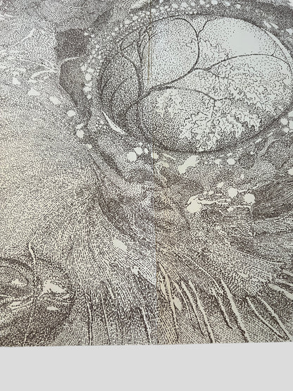 Earth - A Bureaucratic Desire for Extra-Capsular Extraction 2010 Promo Poster 18 x 24 inches