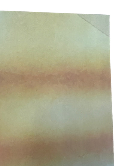 Smashing Pumpkins - Pisces Iscariot Vintage 1994 Promo Poster 18 x 24 inches