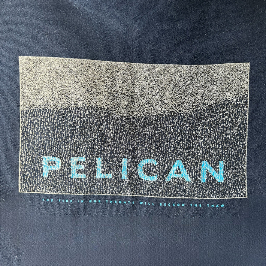 Pelican Band The Fire In Our Throats Pullover Hoodie Size L Hydra Head 2005
