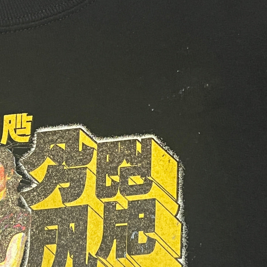 Boris and Torche split 'Chapter Ahead Being Fake' Long Sleeve T-Shirt Size XL