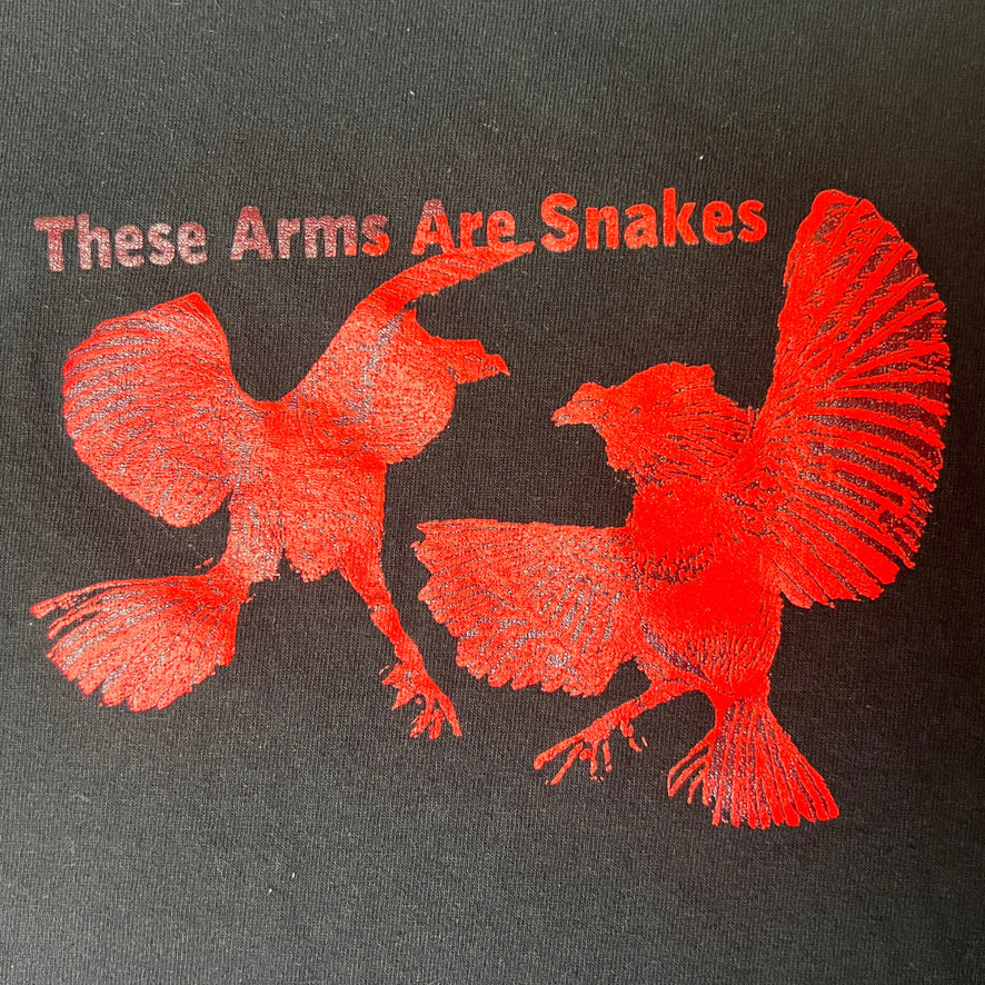 These Arms Are Snakes - Like a Virgin Bird T-Shirt Size M