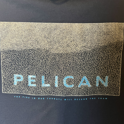 Pelican Band The Fire In Our Throats Pullover Hoodie Size M Hydra Head 2005