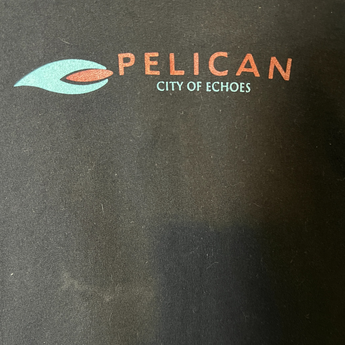 Pelican Band City Of Echoes Zip up Hoodie Size L Hydra Head 2007
