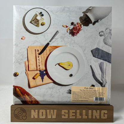 Pale Blue - The Past We Leave Behind Vinyl LP